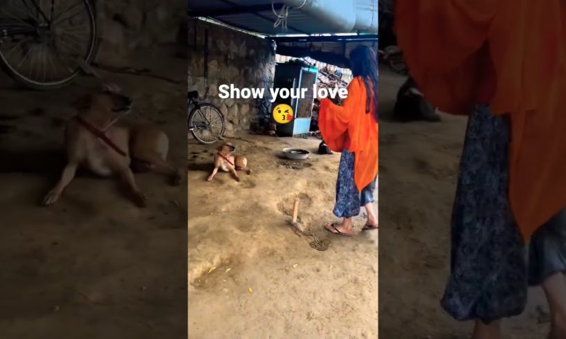 so sad 😭😭#shorts #short #animals #viral #shortvideo