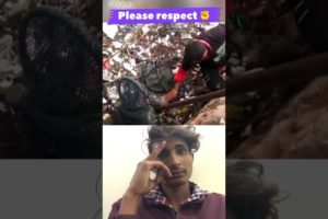 कुता नाली में गिर गया please respect animal rescue team #shorts #trending #viral #ytshorts