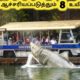 புத்திசாலியான விலங்குகள் || Eight Most Intelligent Animals || Tamil Galatta News