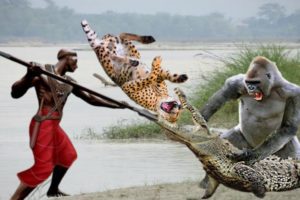 12 Craziest Animal Fights of All Time 2023