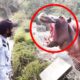 12 Hippo Encounters That Went Horribly Wrong