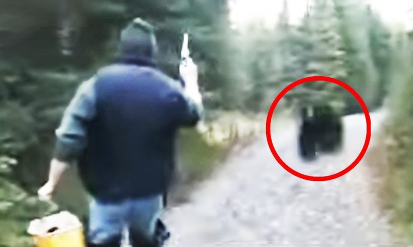 12 Times Bear Encounters Went Horribly Wrong