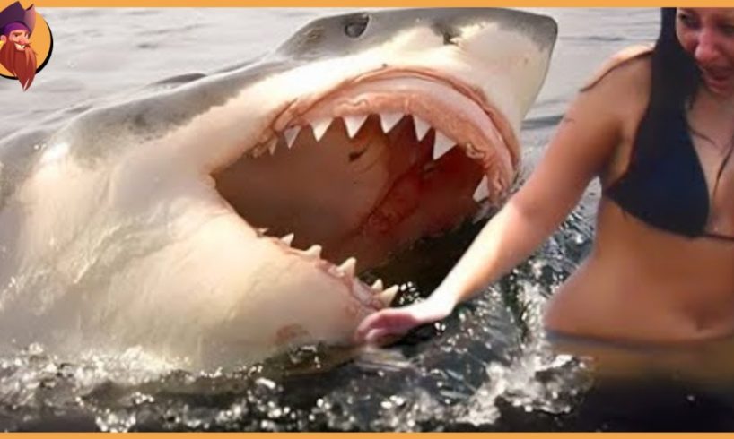15 Best Shark Attacks Ever Caught On Camera