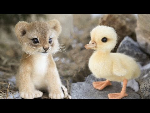 Cute baby animals Videos Compilation cute moment of the animals #18 Cutest Animals 2022