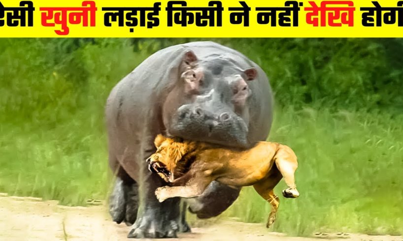 जानवरों की सबसे भयानक लड़ाई | 10 Most Dangerous Wild Animal Fights