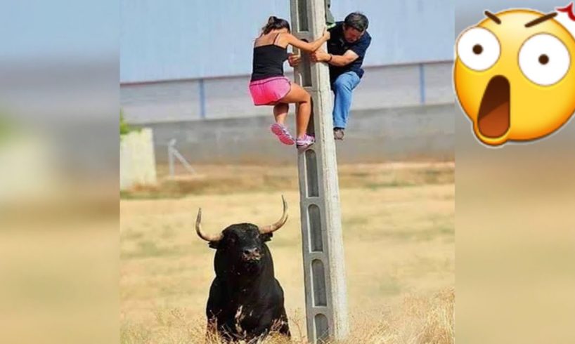 Best Funny Video 2023 | Funny Moments of the week | Fails of the week | Funny fail completion #143