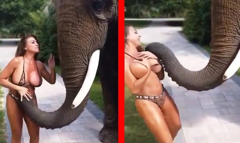 Funny Videos | Instant Regret | Fails Of The Week | Funny Fail Compilation | Fails |
