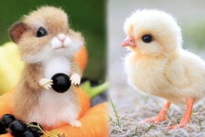 Cute baby animals Videos Compilation cute moment of the animals #1 Cutest Animals 2023