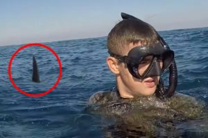 30 Scariest Shark Encounters of The Year