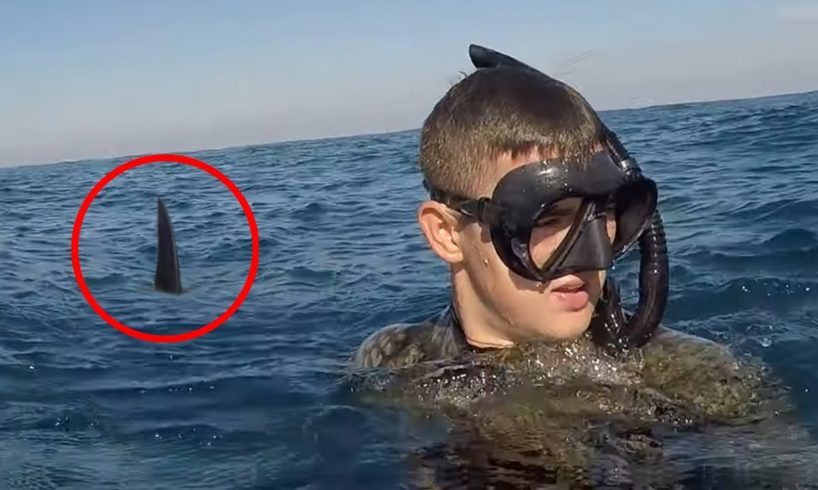 30 Scariest Shark Encounters of The Year