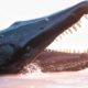 A True Ocean Terror!! - Sachicasaurus Survival - Path of Titans Modded