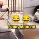 AWW NEW FUNNY 😱😂 Funny Videos Best Fails of The Week Try Not to Laugh Challenge Jin Funny