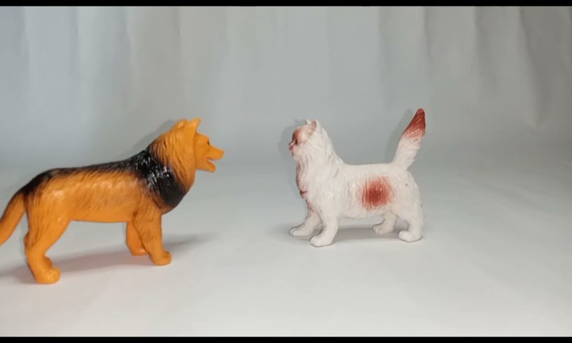 Animal fights cat, horse, cow dog.