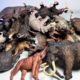 Animals - Prehistoric Tigers, Elephants Crocodiles, Sloth, Bears, Woolly Mammoth,  Deinotherium