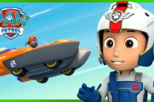 Aqua Pups and Animal Rescue Missions 🚨| PAW Patrol | Cartoons for Kids