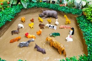 Big African Rhinoceros Farm Animals Safari Animals Zoo Animals Stuck in the Sandbox