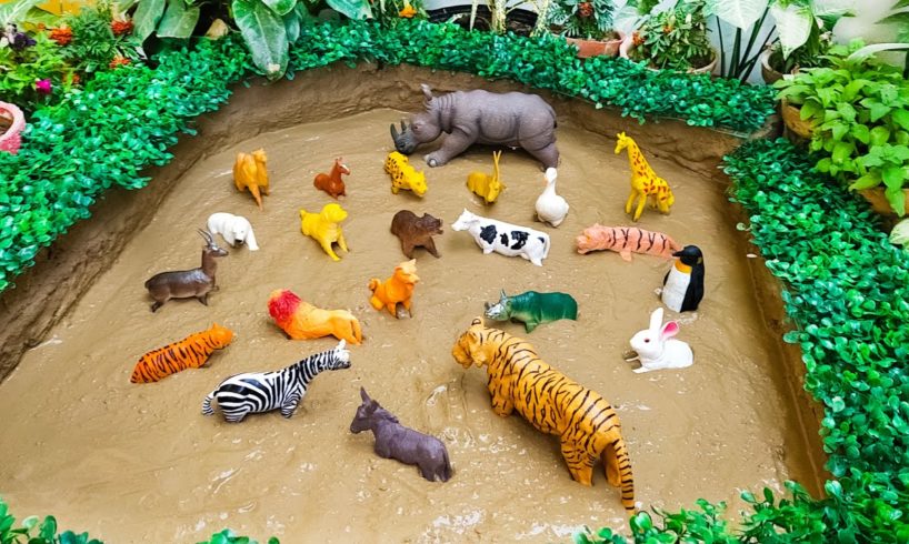 Big African Rhinoceros Farm Animals Safari Animals Zoo Animals Stuck in the Sandbox