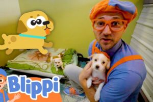 Blippi Pets Cute Animals in the Shelter! | Educational Videos for Kids