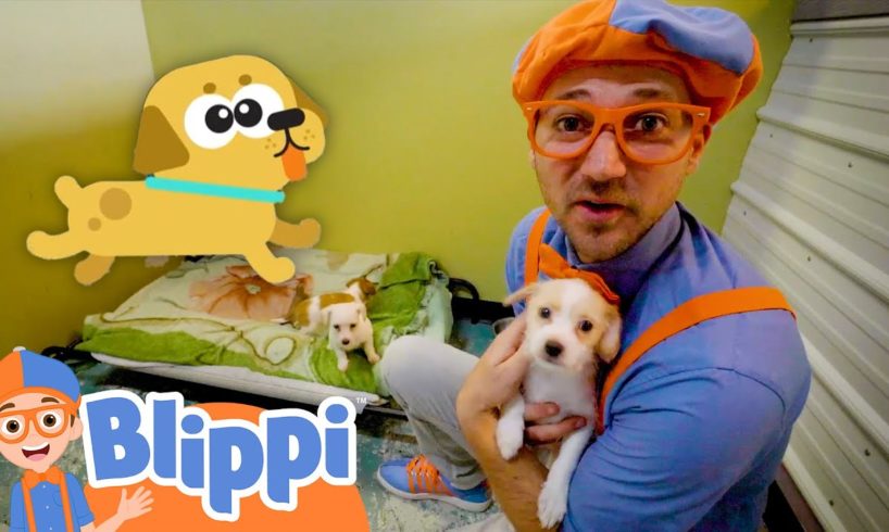 Blippi Pets Cute Animals in the Shelter! | Educational Videos for Kids