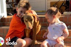 Cachorro callejero aparece en la puerta de esta familia | El Dodo