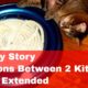😸 Cat Toy Story ➖ Relations between two female Cats ➖ Ep. No.7 Extended 😸