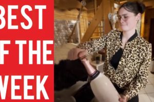 Champagne Bottle Fail and other funny videos! || Best fails of the week! || February 2023!