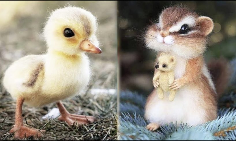 Cute baby animals Videos Compilation cute moment of the animals #17 Cutest Animals 2022