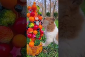 Cute puppies having fun party