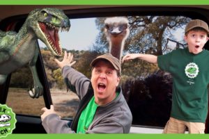 Dinosaur & Animal Wildlife Adventure! |T-Rex Ranch Dinosaur Videos