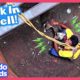 Dog Falls In Well And Needs A Whole Team Of Rescuers To Get Out | Dodo Kids | Rescued!