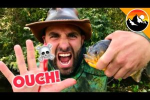 EATEN ALIVE - Human Hands vs. Piranha!