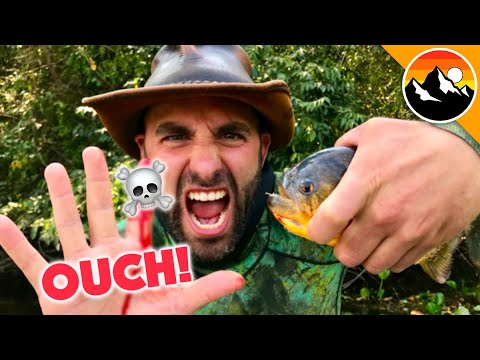EATEN ALIVE - Human Hands vs. Piranha!