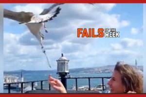 Fails Of Resturants | Random Funny Videos | Funny Fails | Fails Of The Week 2023 #25