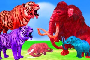 Giant Tiger vs Elephant Mammoth Fight Wild Animal Fight Animal Revolt battle Animal Revenge stories