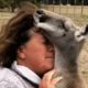 Grandma adopts a kangaroo. Now he wants to keep hugging her.