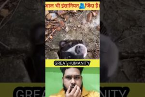 Great Humanity | dog rescue india #youtubeshorts #shorts #viralshorts #trendingshorts