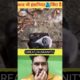 Great Humanity | dog rescue india #youtubeshorts #shorts #viralshorts #trendingshorts