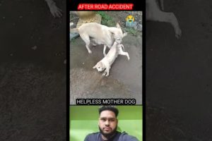 Helpless Mother Dog | Road accident 😭😔 #youtubeshorts #shorts #viralshorts #dogs