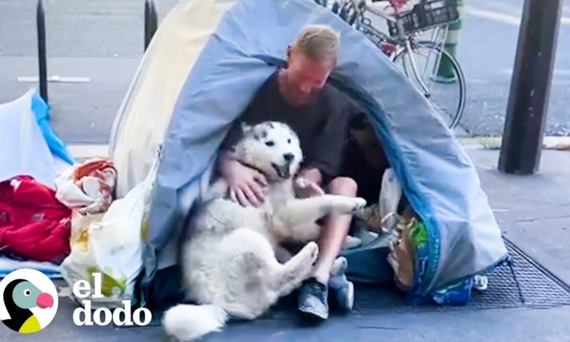 Husky se obsesiona con un vagabundo y le ayuda a cambiar su vida | Almas Gemelas | El Dodo