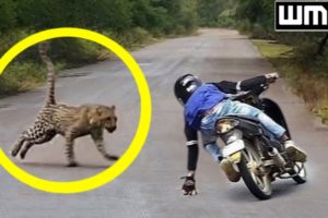 LUCKIEST PEOPLE CAUGHT ON CAMERA | PERFECT TIMING !