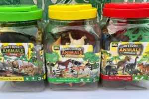 Let's look for  Safari zoo Animals Farm animals,Sea Animal n the sand|Animals in a Box|Lion,Rhino