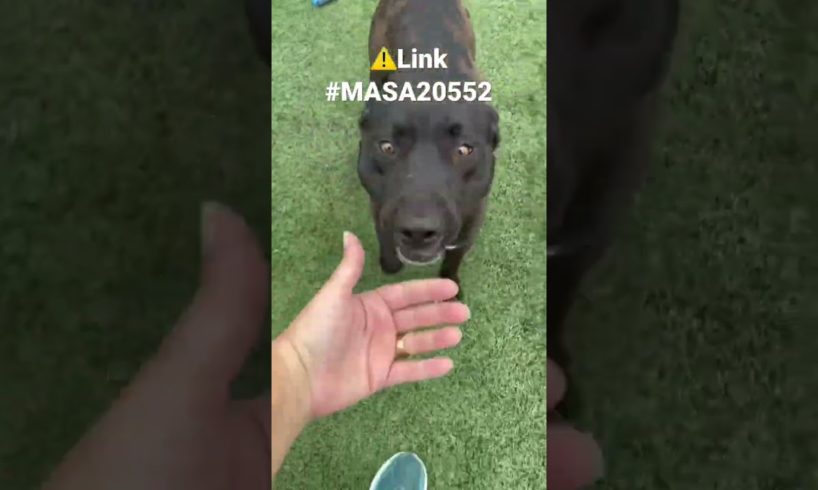 Link #MASA20552 ⚠️ RESCUED!