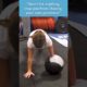 Little Girl Works Out ﻿With Medicine Ball | People Are Awesome #workoutmotivation #workout #shorts