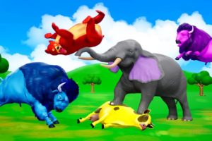 Magical Animals Fights - Elephants Saves Bison, Cow, Buffalo, Bear | 3D Cartoon Animals Videos 2023