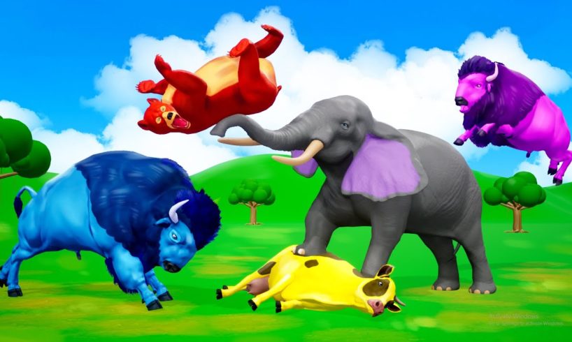 Magical Animals Fights - Elephants Saves Bison, Cow, Buffalo, Bear | 3D Cartoon Animals Videos 2023