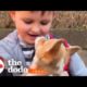 Man Adopts A Corgi After His 7-Year-Old Son Writes Him A Letter | The Dodo