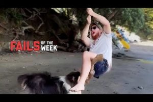 Man's Best Friend Betrayal | Fails of the Week - FailArmy