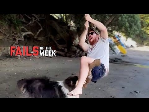 Man's Best Friend Betrayal | Fails of the Week - FailArmy