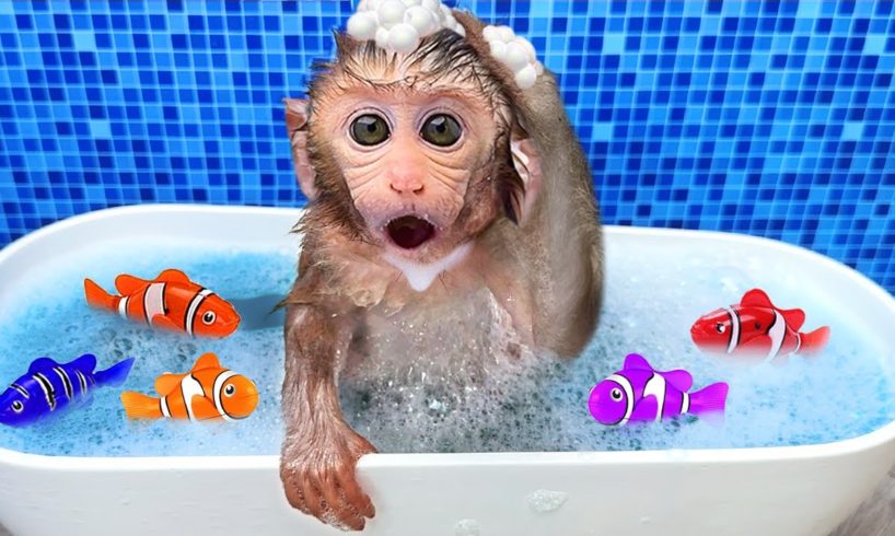 Monkey Baby Bon Bon bath in a bathtub with rainbow fish and play in the park with ducklings