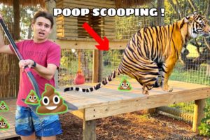 POOP SCOOPING ALL MY EXOTIC ANIMALS !